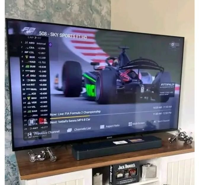 RobotIPTV customer watching live Formula 1 racing on a Sony TV